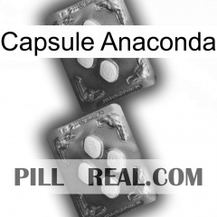 Anaconda Capsule 01